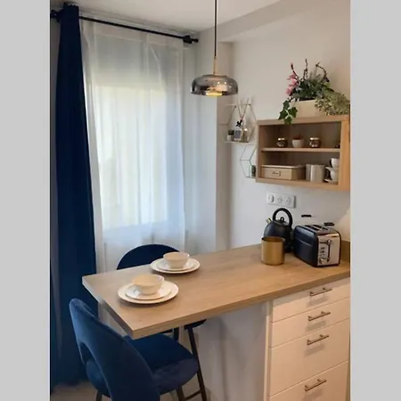 Joli Appartement Haut Standing En Hyper Centre Toulouse Exterior photo
